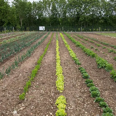 Saintonge Пор-д’Анво