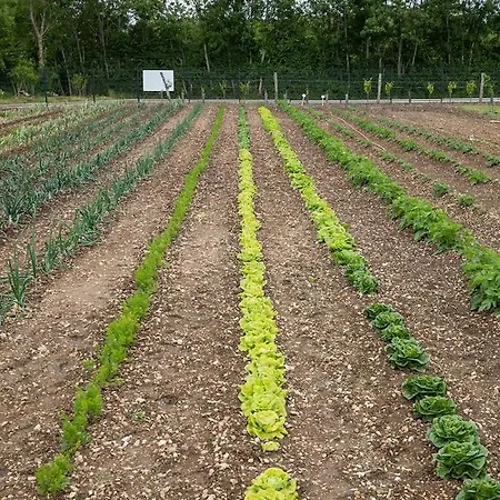 Saintonge Пор-д’Анво