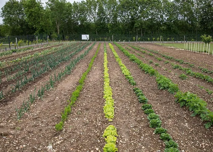 Saintonge Port-dʼEnvaux