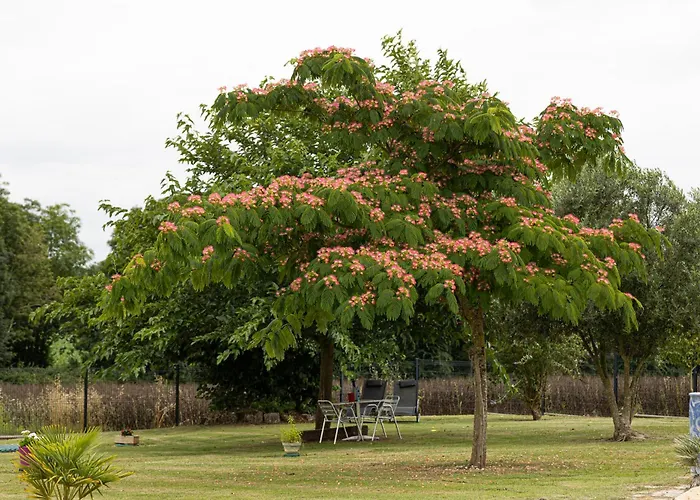 Bed & Breakfast Saintonge Port-dʼEnvaux