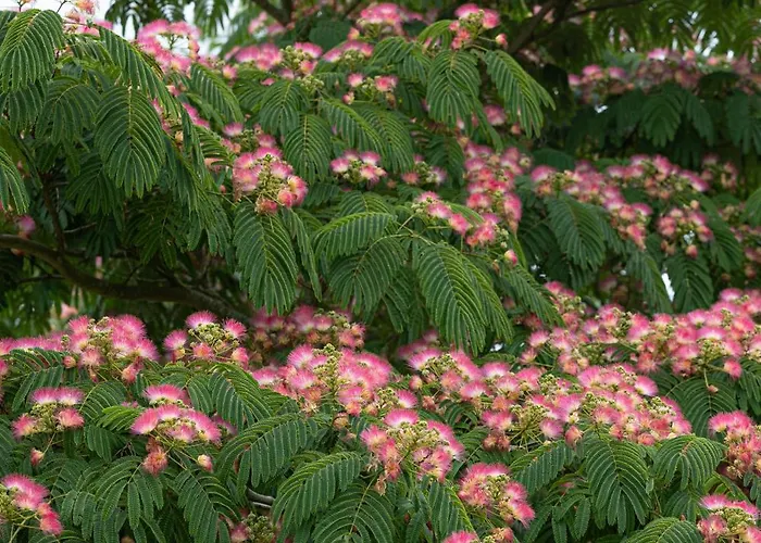 Saintonge Bed & Breakfast